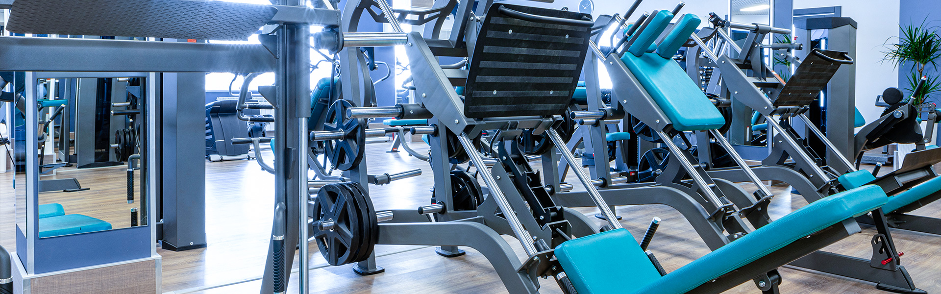 gym leg extension machine